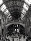 Natural History Museum, London, England