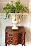 dining room sidetable fern