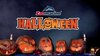Family Halloween a Zoomarine: spettacoli e Halloween Nights