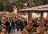 Il Bosco Stregato delle Zucche arriva a Marino