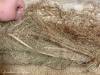 The stuffing of the settee after the upholstery fabric has been removed. The primary stuffing is straw, held in place by burlap and plain cotton cloth.