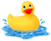 rubber duck