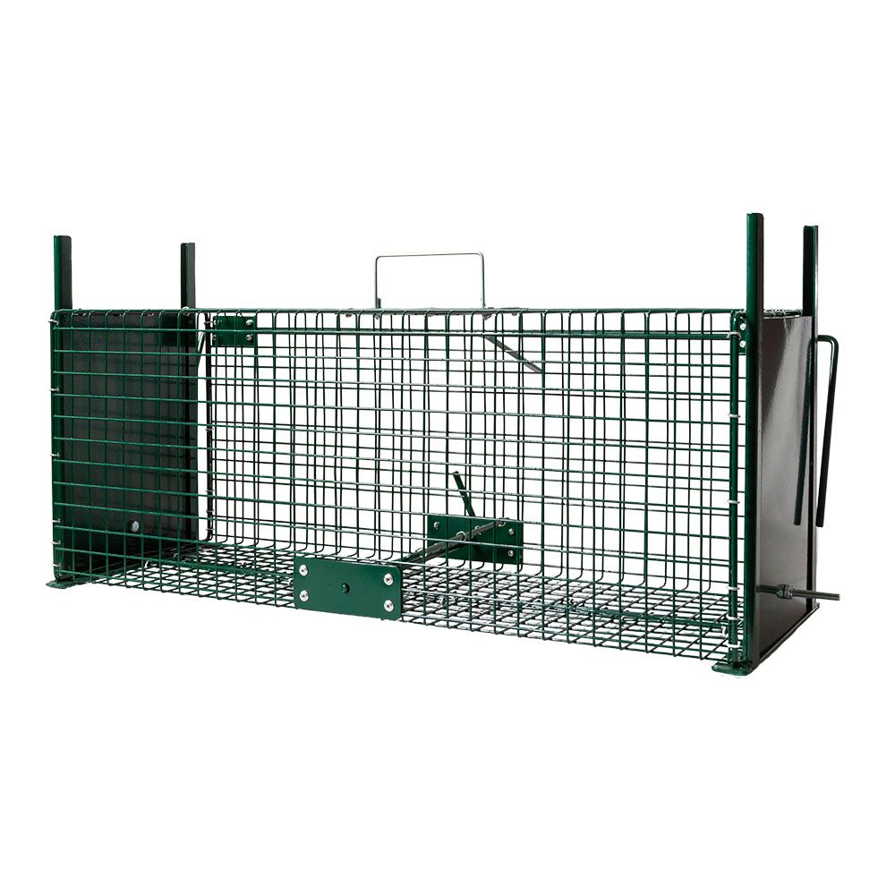 zamka za lisice Zamka za lisice