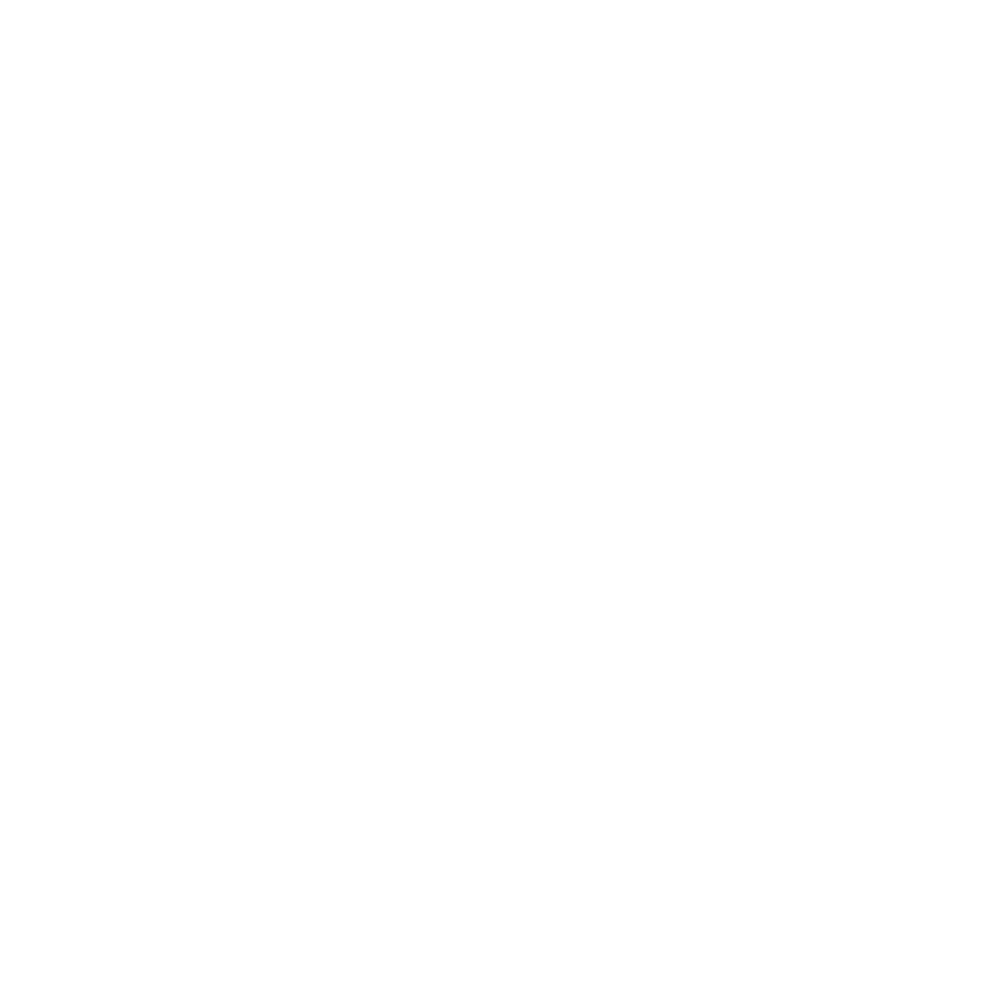 American Football Club Rangers Mödling 3 Tigers w