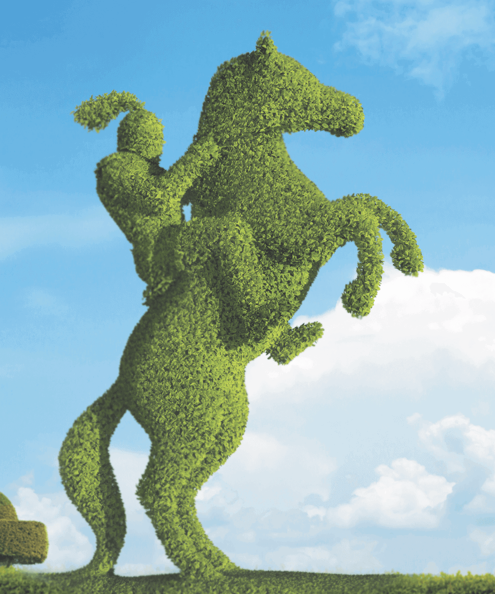Best 50 Corporate Citizens - Topiary Horse