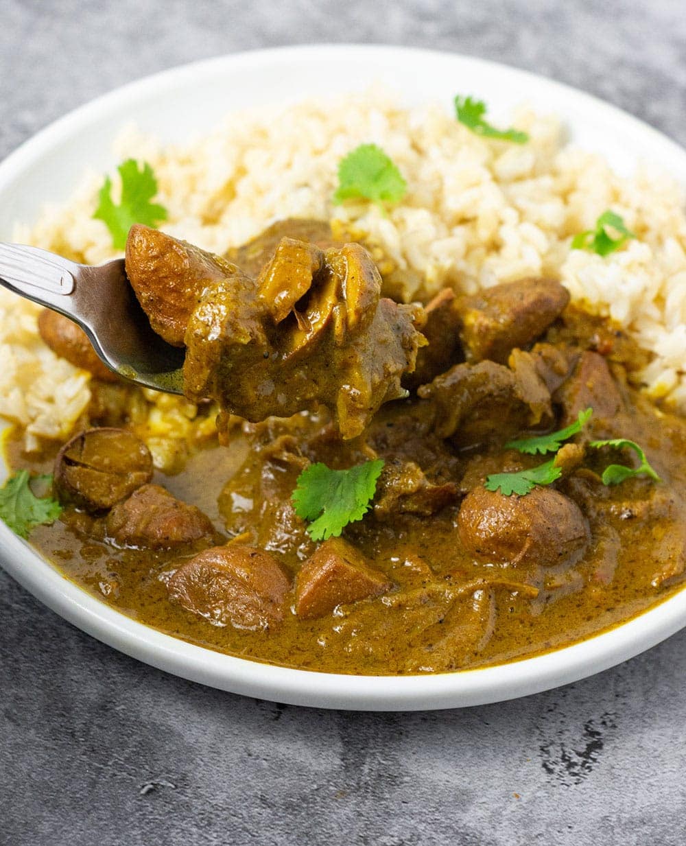 Chataigne (bread nut) curry on a white plate with rice and garnished with cilantro leaves on a grey background
