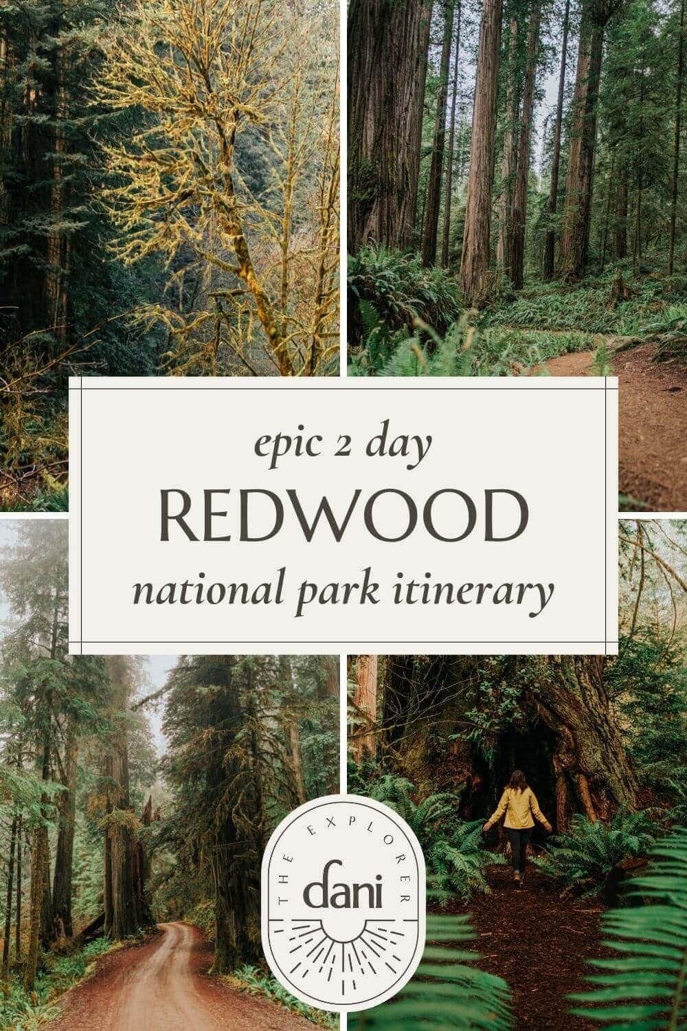 plan your visit redwood national park