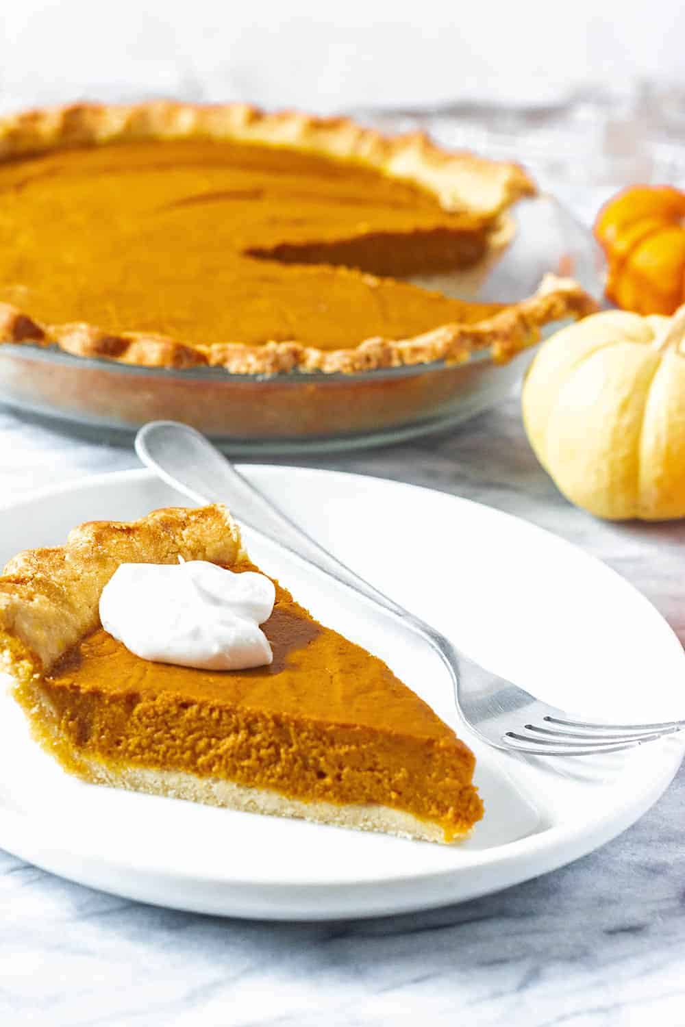 Pumpkin Pie Vegan Gluten-Free Pie Crust