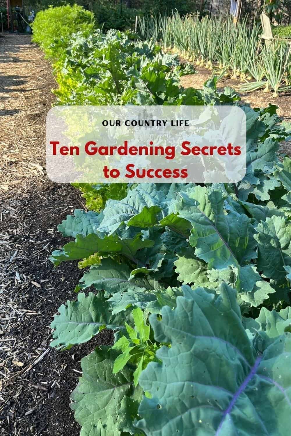 Ten Gardening Secrets to Success Our Country Life