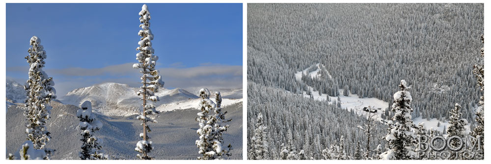 Some of the amazing views from Trail Ridge Road