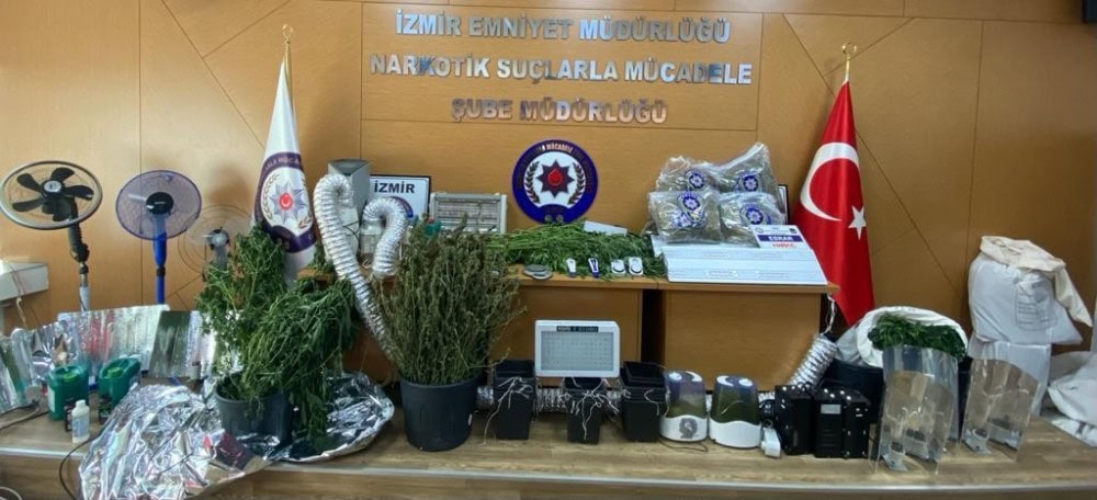İzmir’de kenevir operasyonu: 10 gözaltı