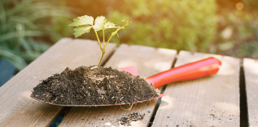 grow business in 2021