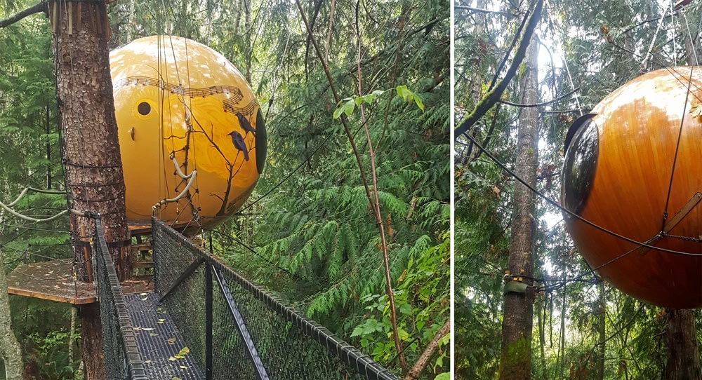 The Free Spirit Spheres hanging in the tree's 