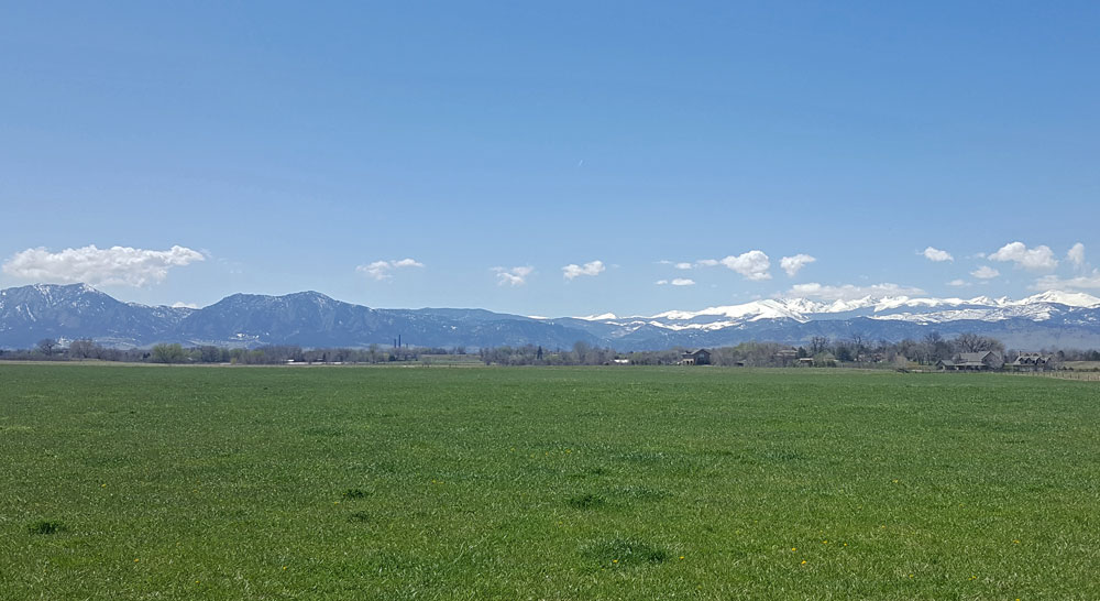 Rocky Mountains in the view of the Teller Farms Trail over the cow pasture.