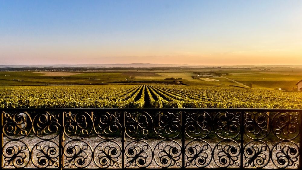 Manoir de Verzy view