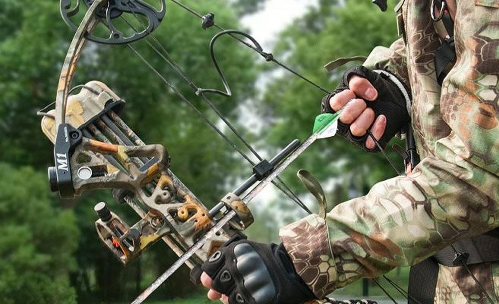 best compound bow under 300