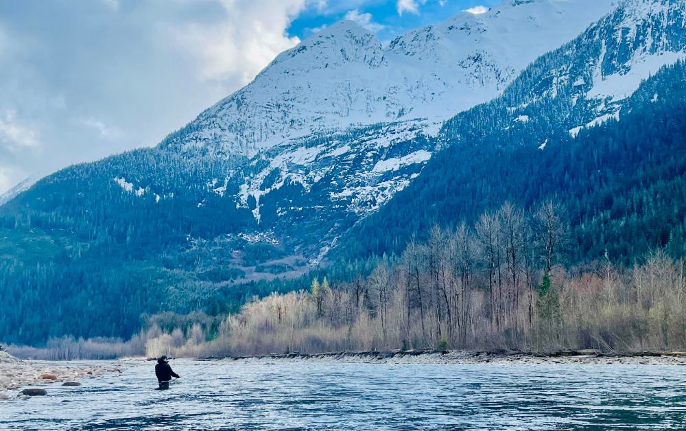 squamish fly fishing report