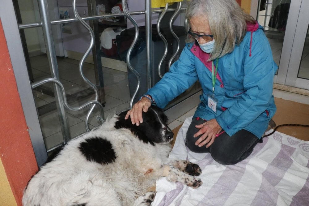 Köpeğinin sopayla dövüldüğünü iddia etti