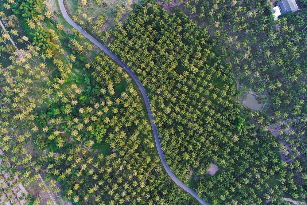 supply chain biodiversity targets