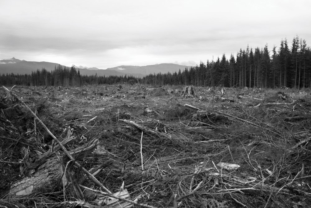 economic reconciliation indigenous climate justice Corporate Knights