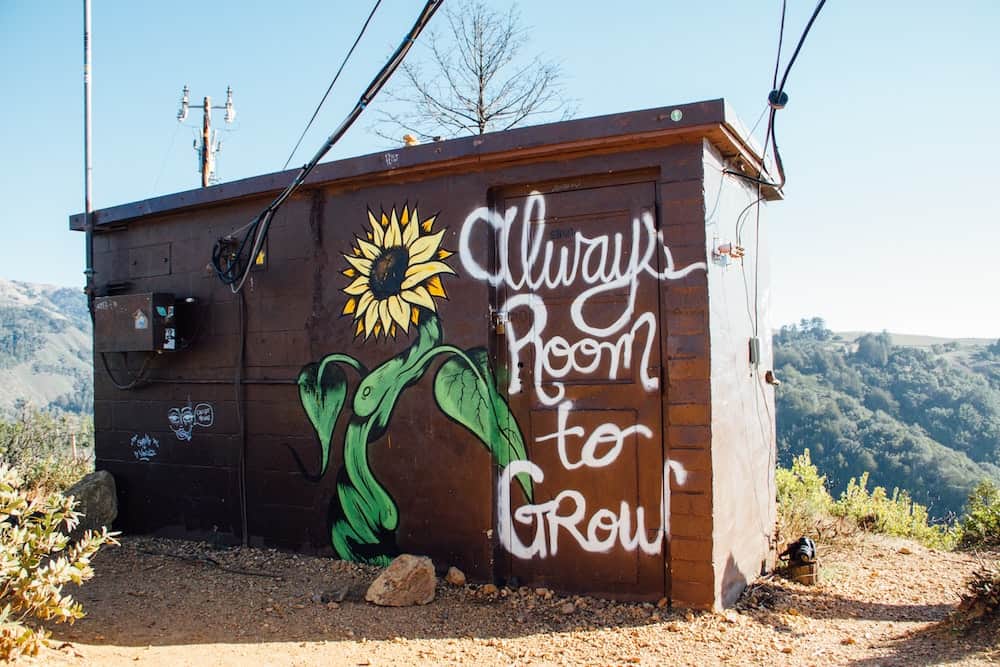 shed with graffiti art which reads "always room to grow"