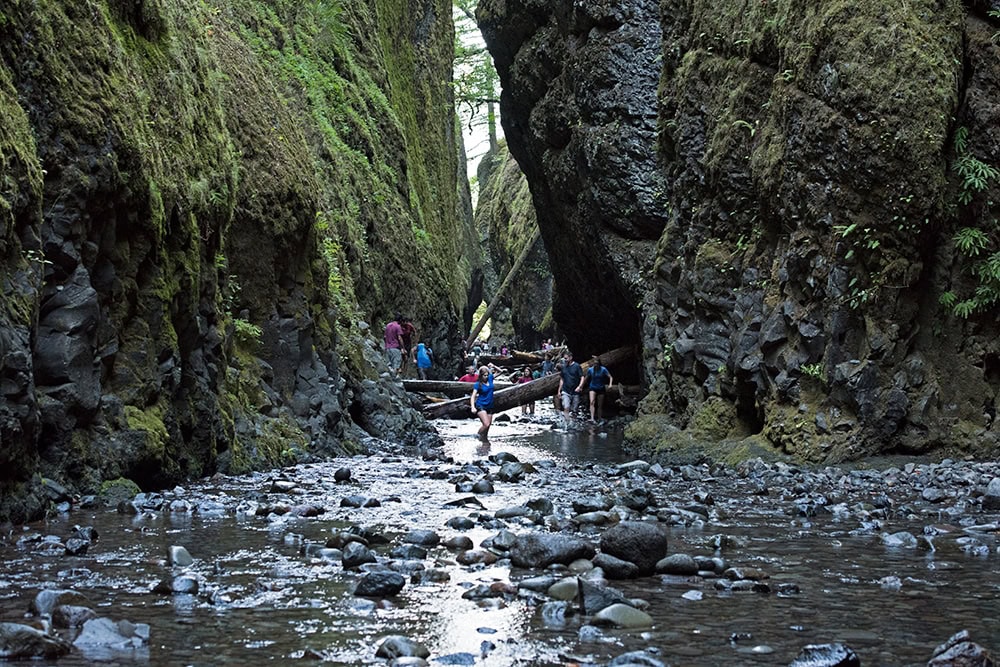 people walking through the river at oneonta gorge hike