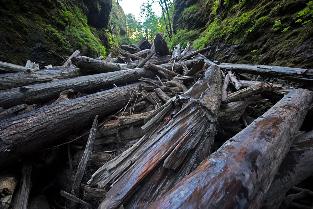 lower oneonta gorge hike