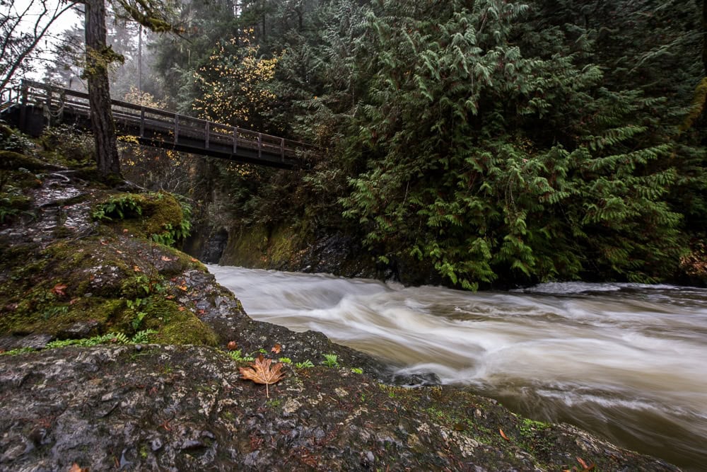 Sitting on a rock next to Englishman River looking towards the pedestrian bridge