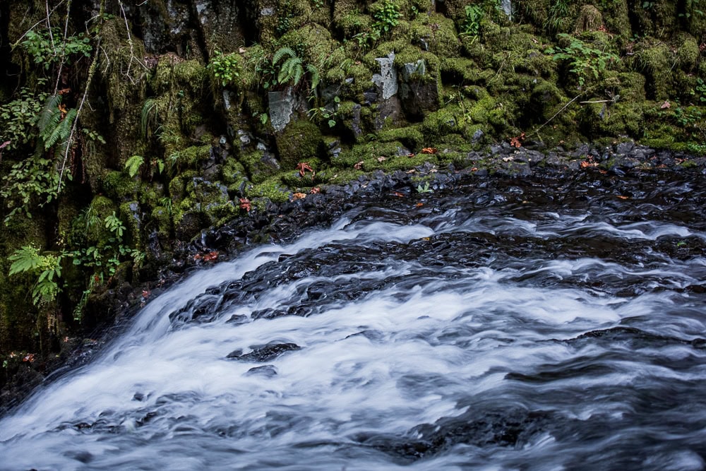 Beautiful stream leading to a waterfall on Larch Mountain Trail