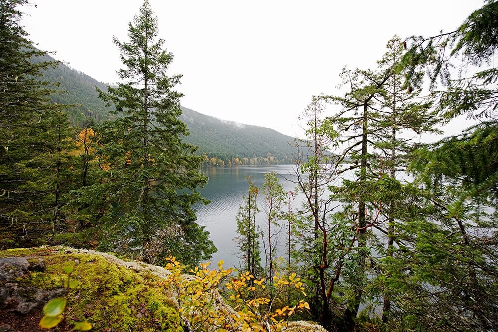 Overlook on side of road near port alberni