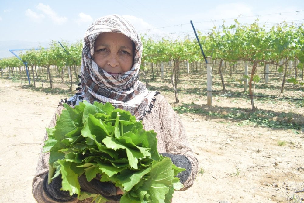 ‘Coğrafi İşaret’ tescil çalışmaları başladı