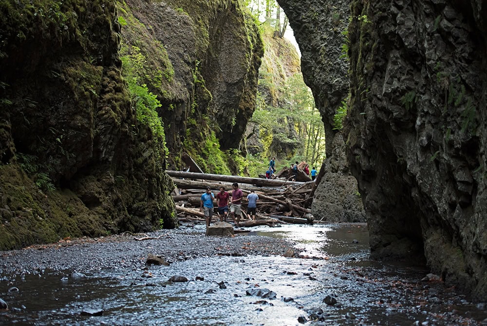 Looking back towards the log jam and people climbing over it