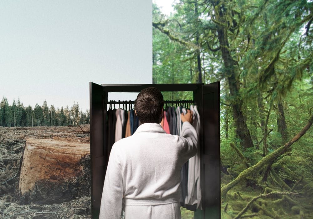 forests, deforestation, fashion, clothing Corporate Knights