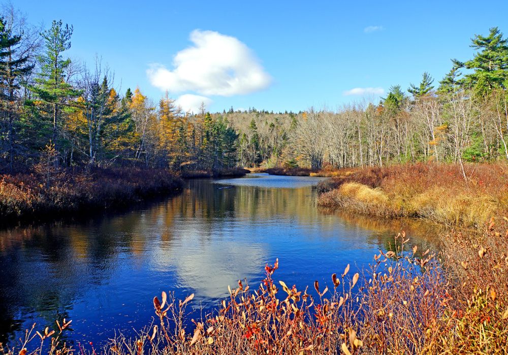 freshwater, oceans, marine, blue economy lakes river Corporate Knights