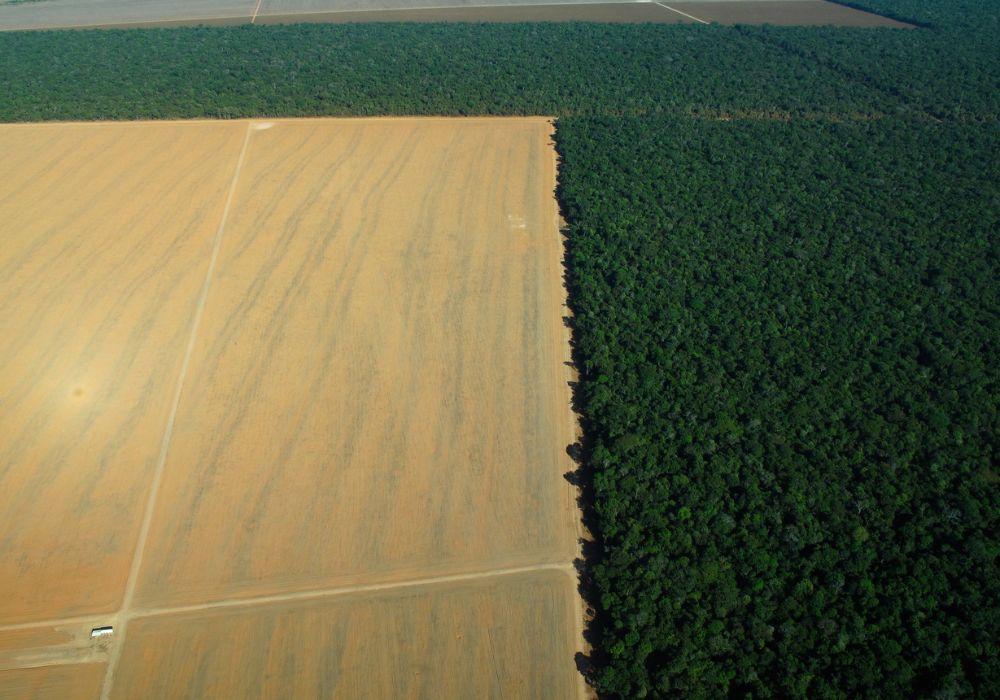 Amazon, deforestation, Brazil