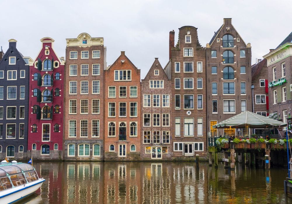 plant based treaty, plant based food, sustainable food