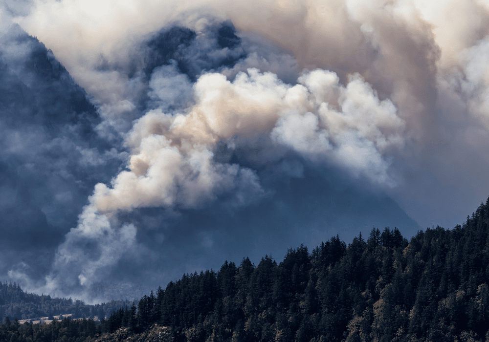 Wildfire in British Columbia