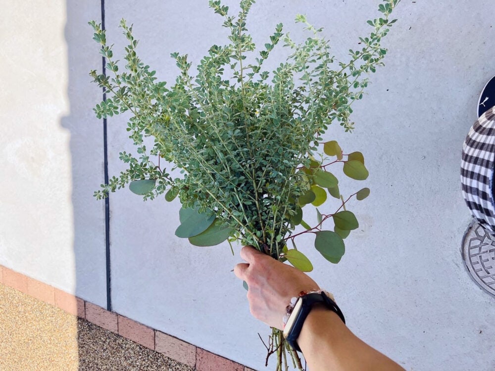 プロフィール背景画像