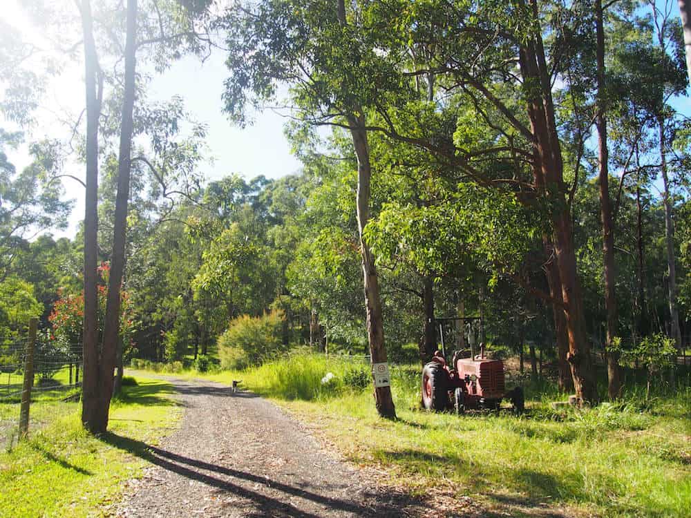 Telegraph Retreat Farmstay near Port Macquarie
