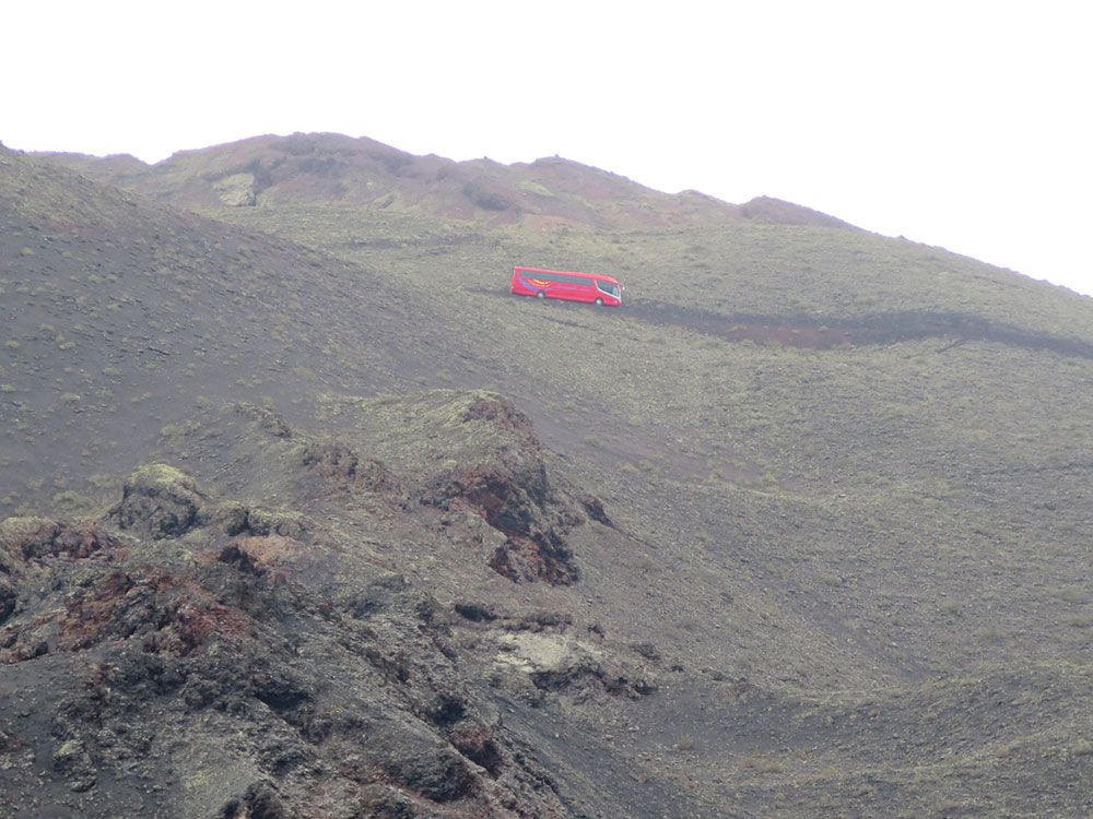 Bus recorriendo el parque nacional