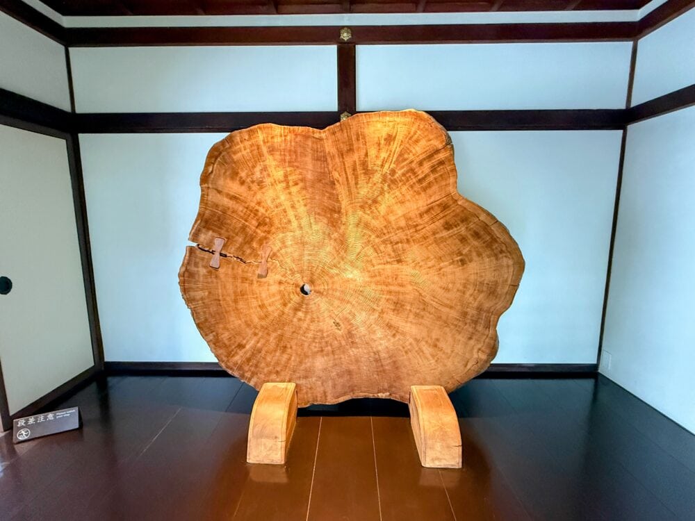 吉野杉