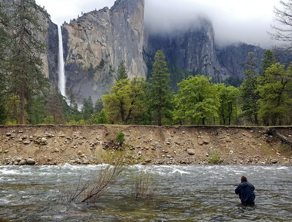 Guy fly fishing in the river with Yosemite Falls in the background