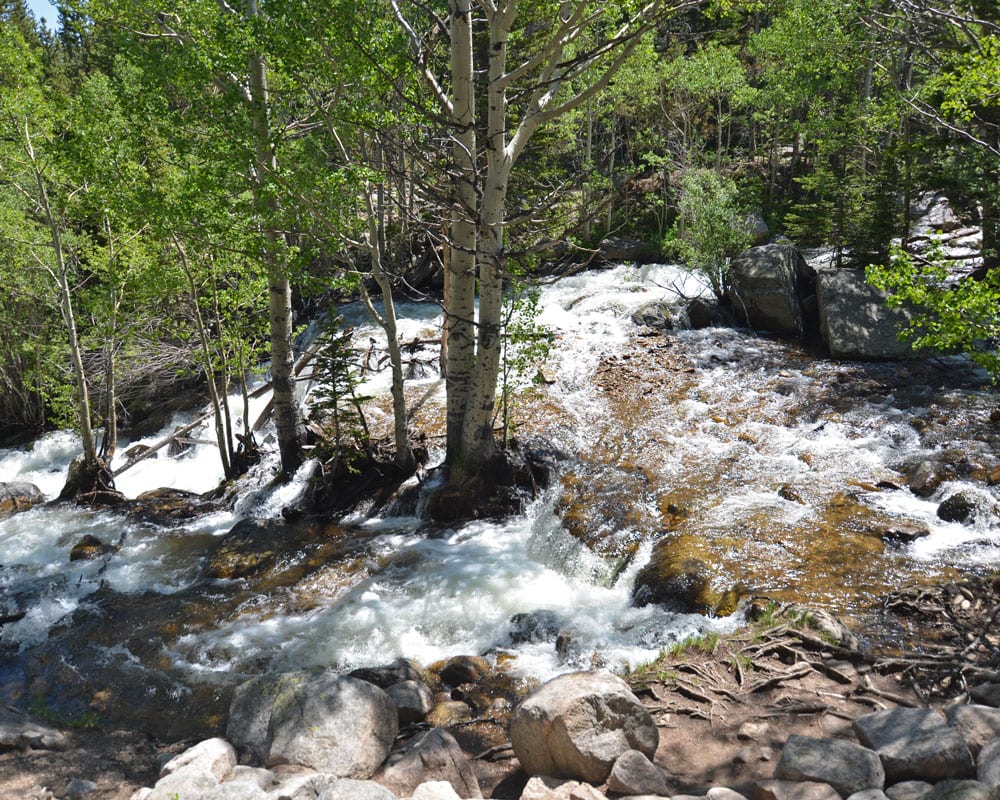 Alberta Falls, among the trees, which is the first destination on the hike to Sky Pond