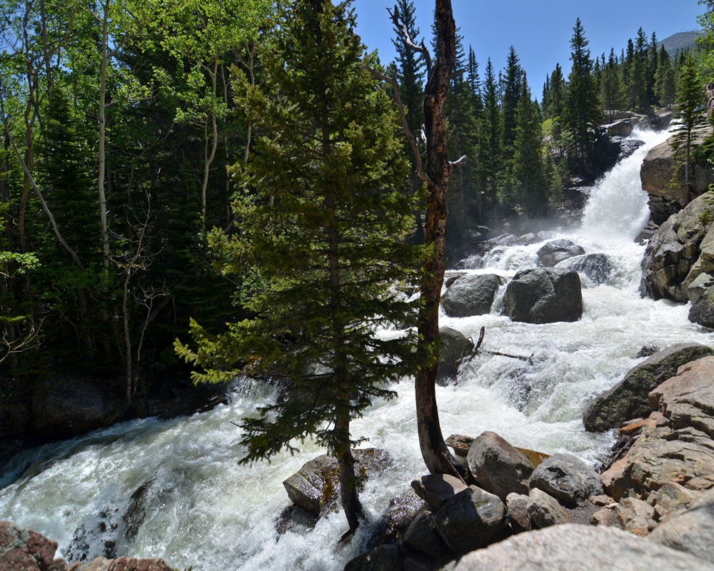 Alberta Falls heavily flowing during the summer.