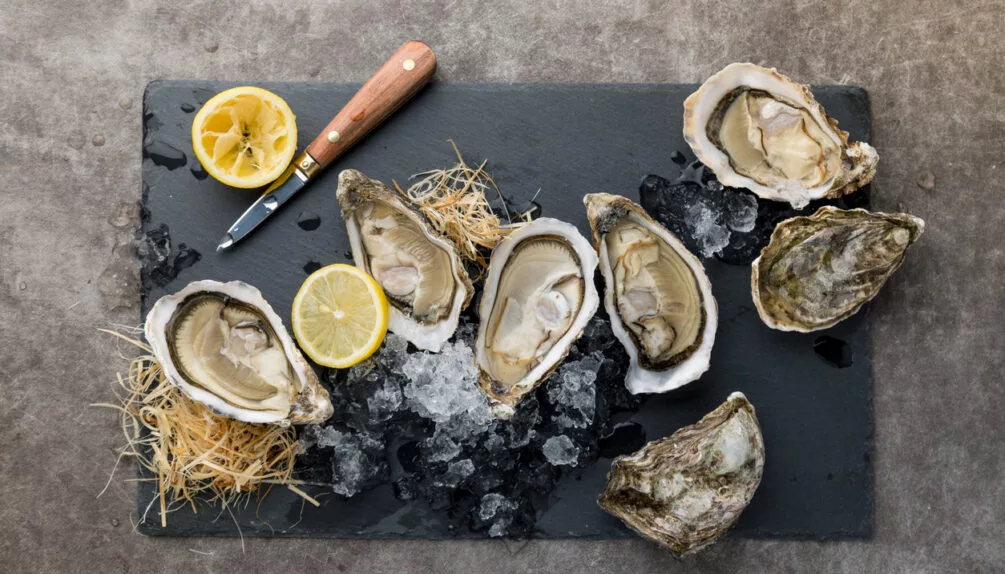 Oysters 