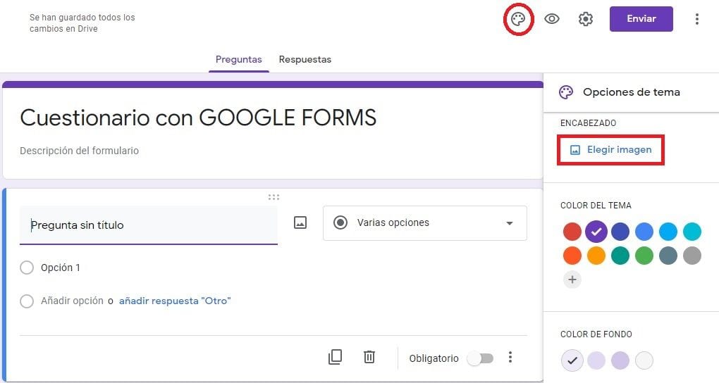 Opciones de Tema en cuestionarios de Google