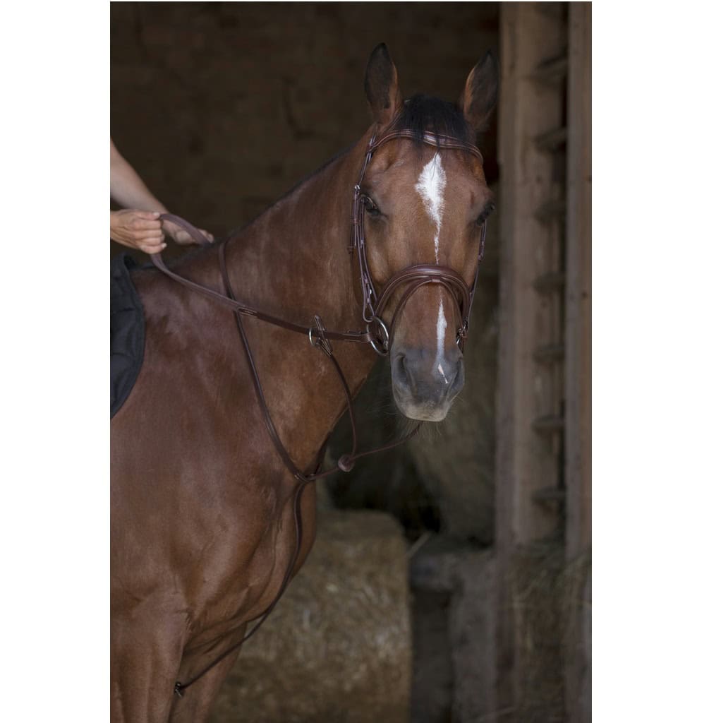 Martingal sa gumenim stoperom Riding World Martingal sa gumenim stoperom Riding World