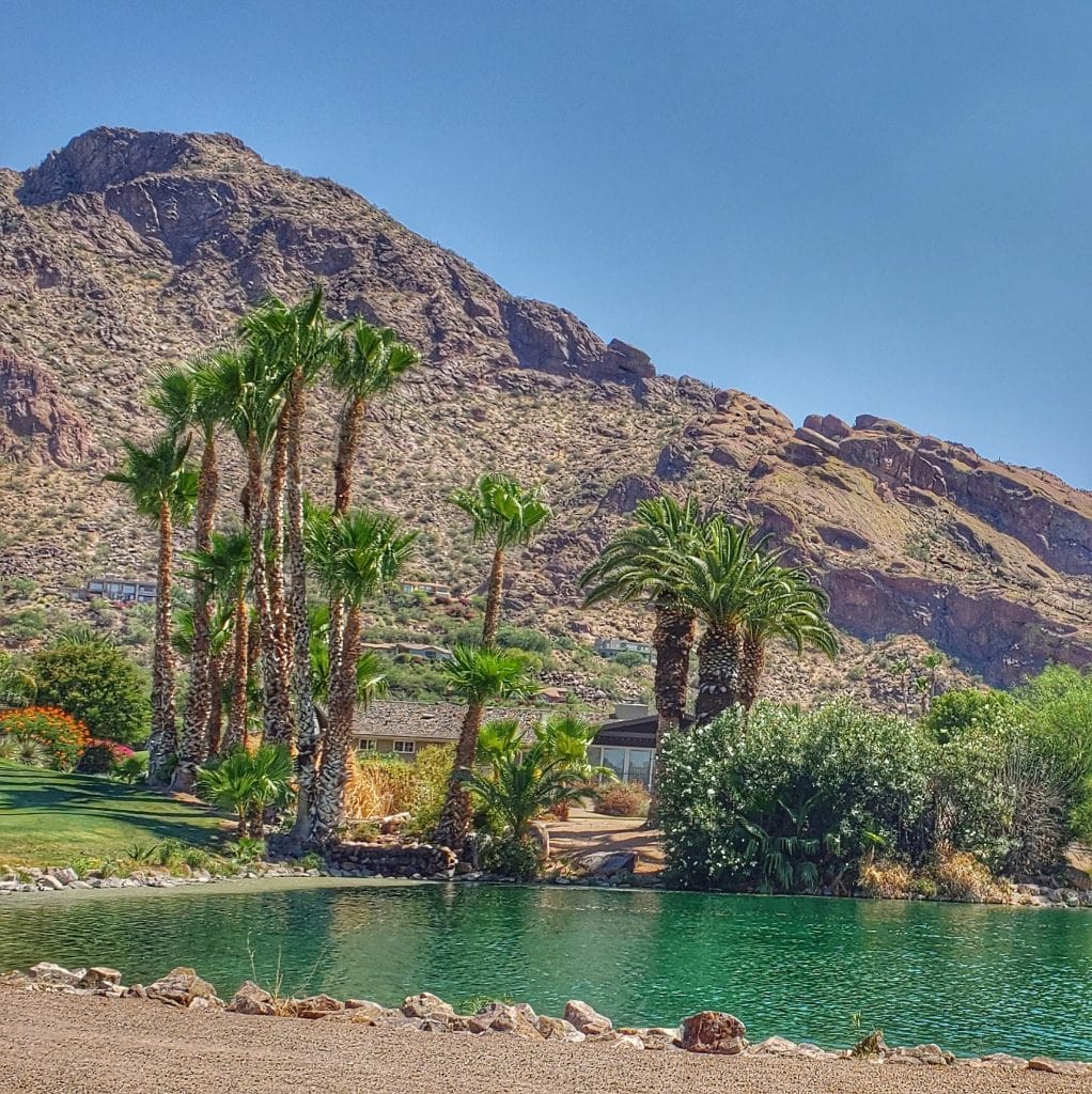 Lagoon with palm trees and Camelback Mountain rising above make Mountain Shadows Paradise Valley an oasis in the desert