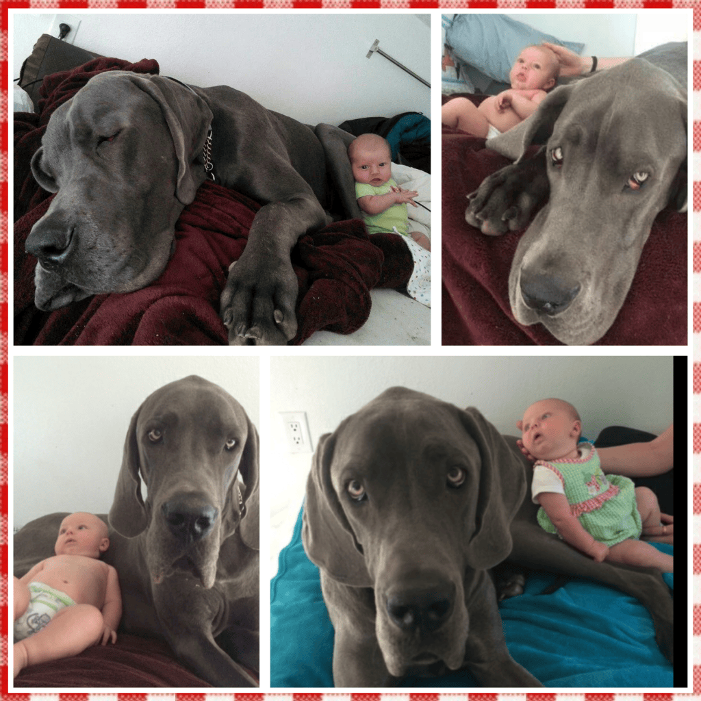 H turned three months, I've been taking a picture since birth one a month, this is them...