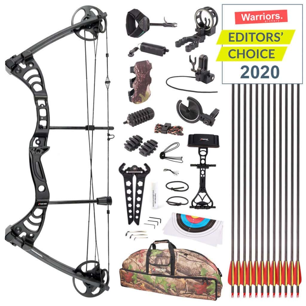 compound bow under 300